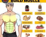 Best High Protein Diet For Muscle Gain